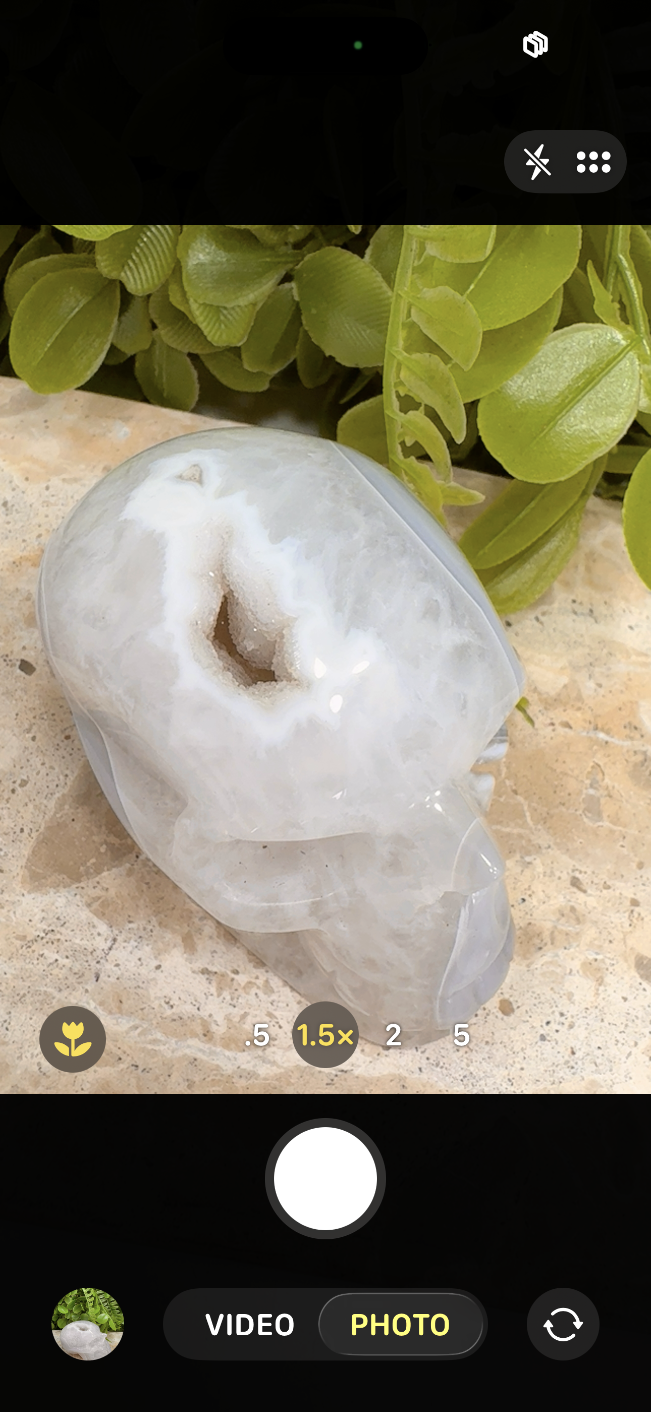 Agate Druzy Skull 266g
