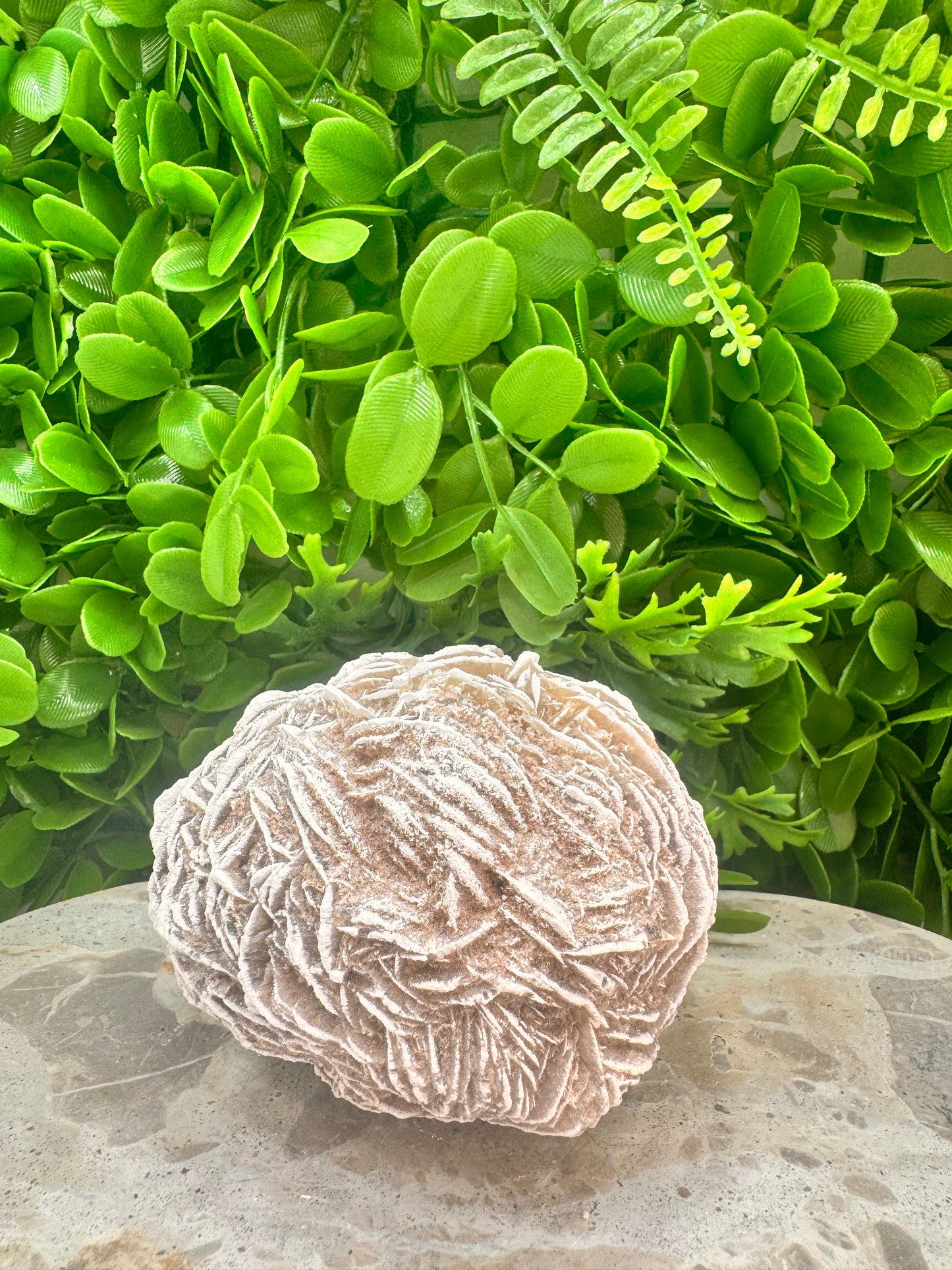 Desert Rose Selenite Cluster  1004g