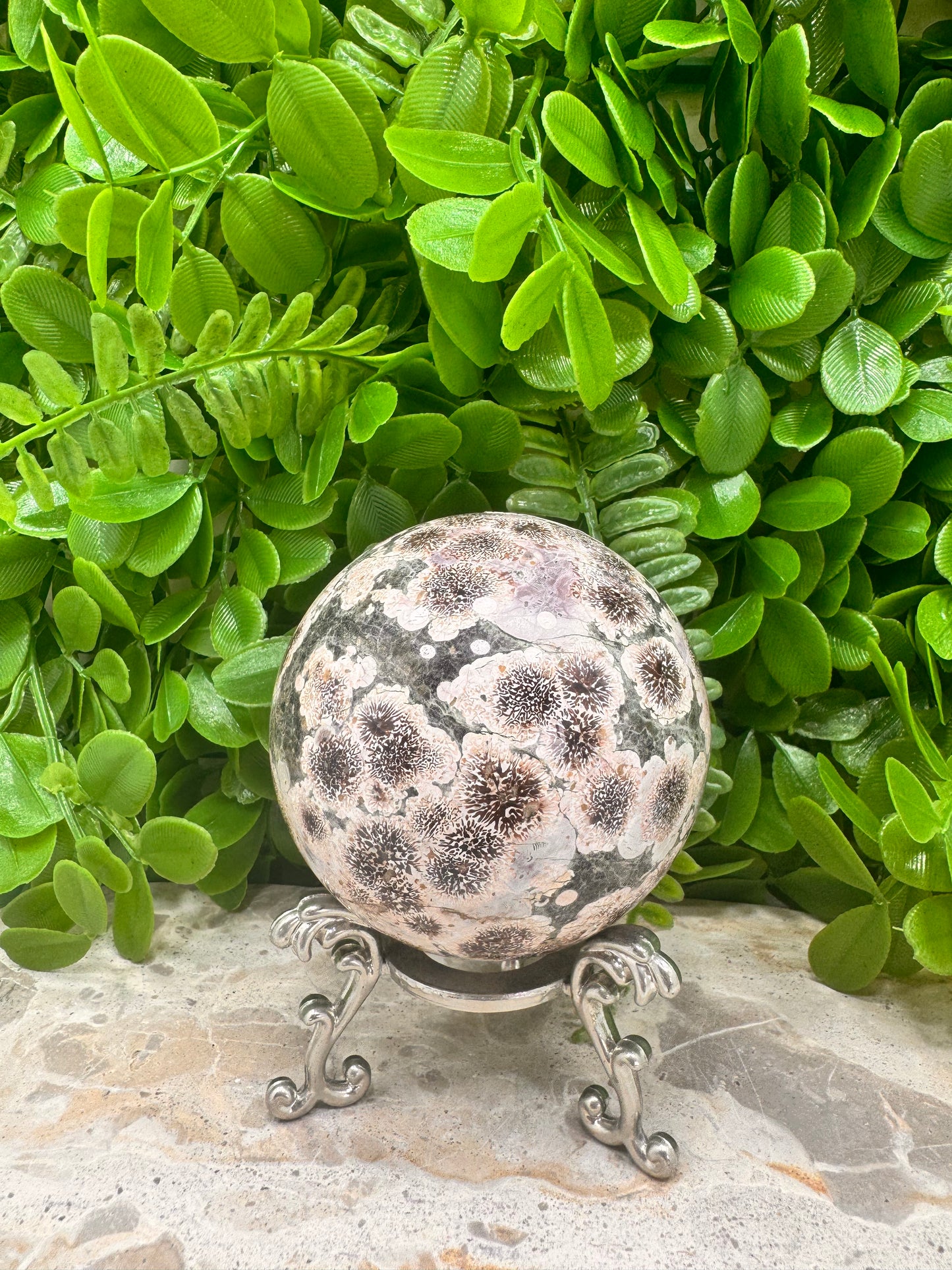Russian Flower Agate Sphere 559g