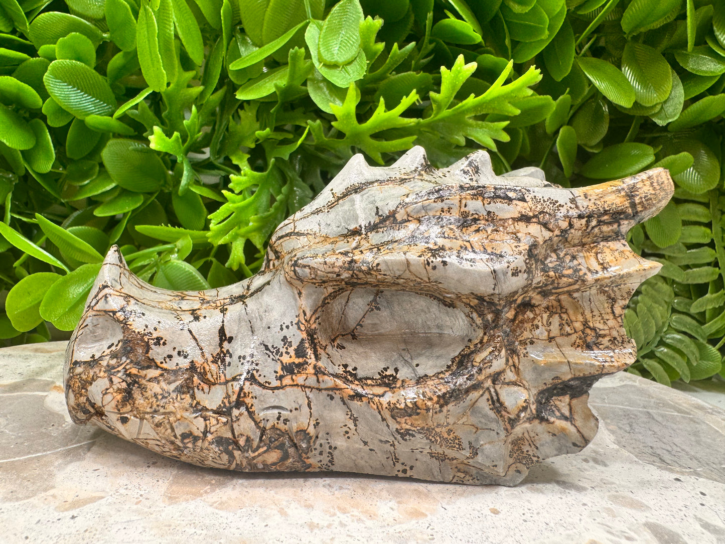 Picture Jasper Dragon Skull 530g