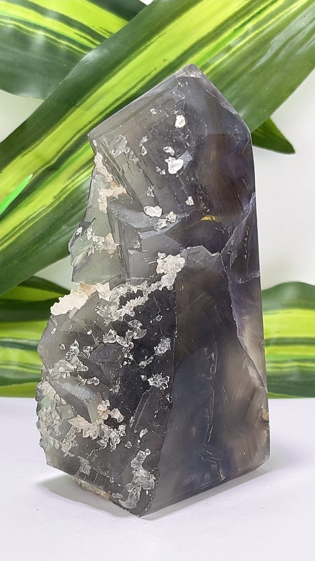 Fluorite Tower Freeform 480g