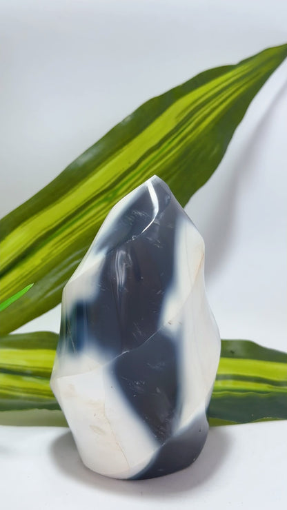 Orca Agate Flame 590g