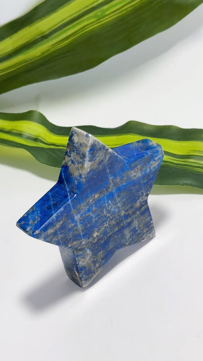 Lapis Lazuli Star 158g