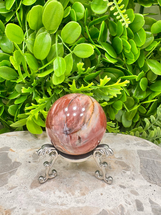 Petrified Wood Sphere 266g