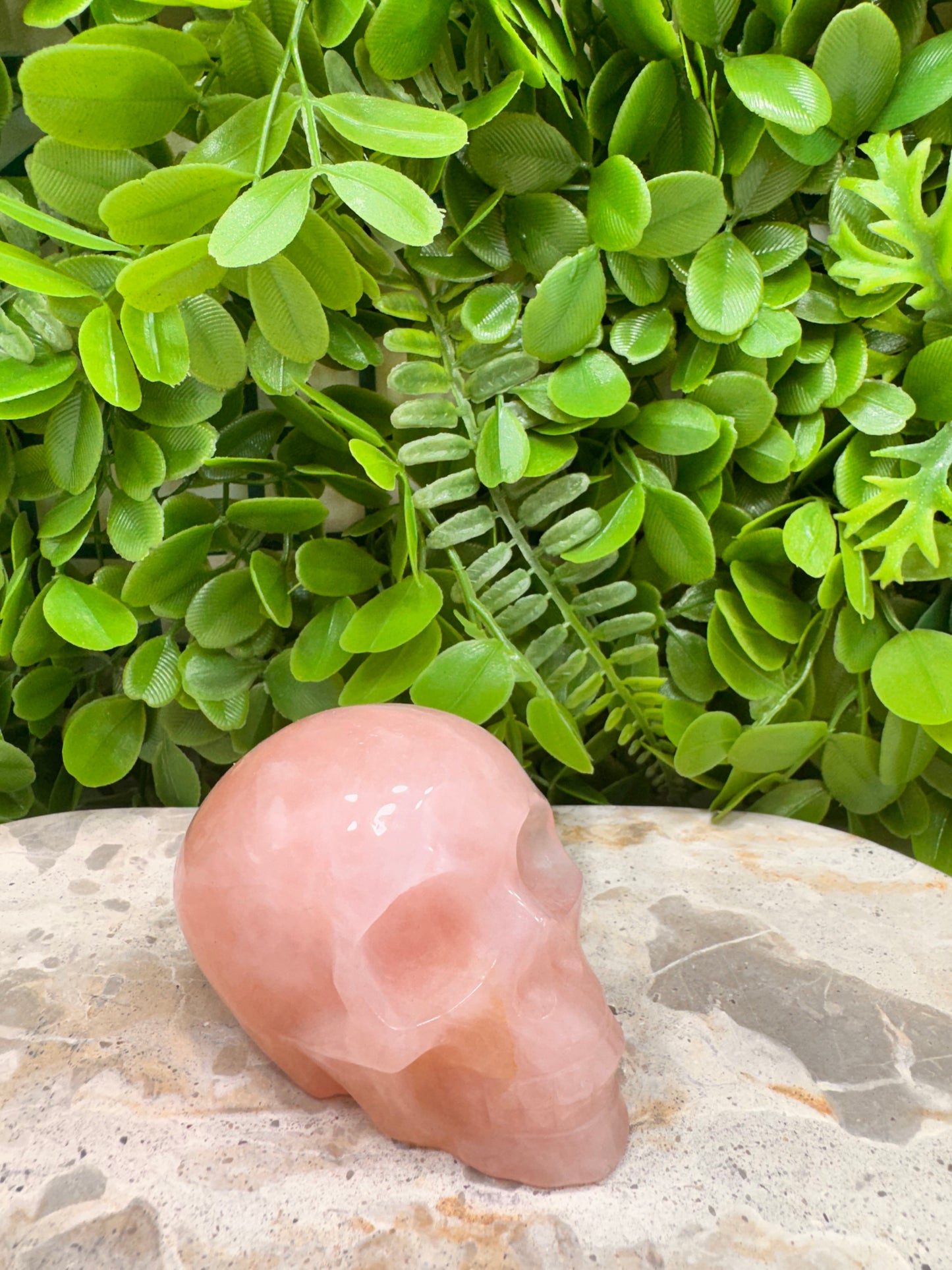 Rose Quartz Skull 350g