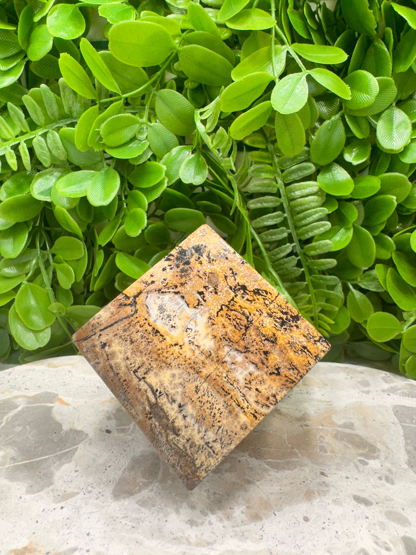 Picture Jasper Cube 546g