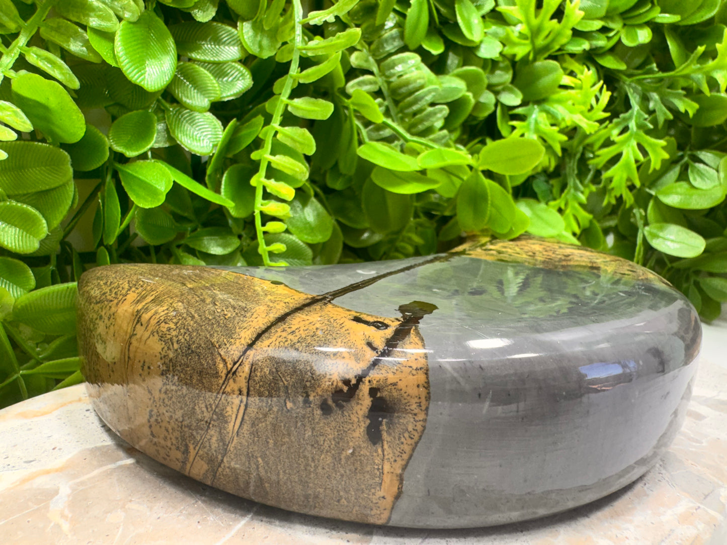 Picture Jasper Moon 1336g