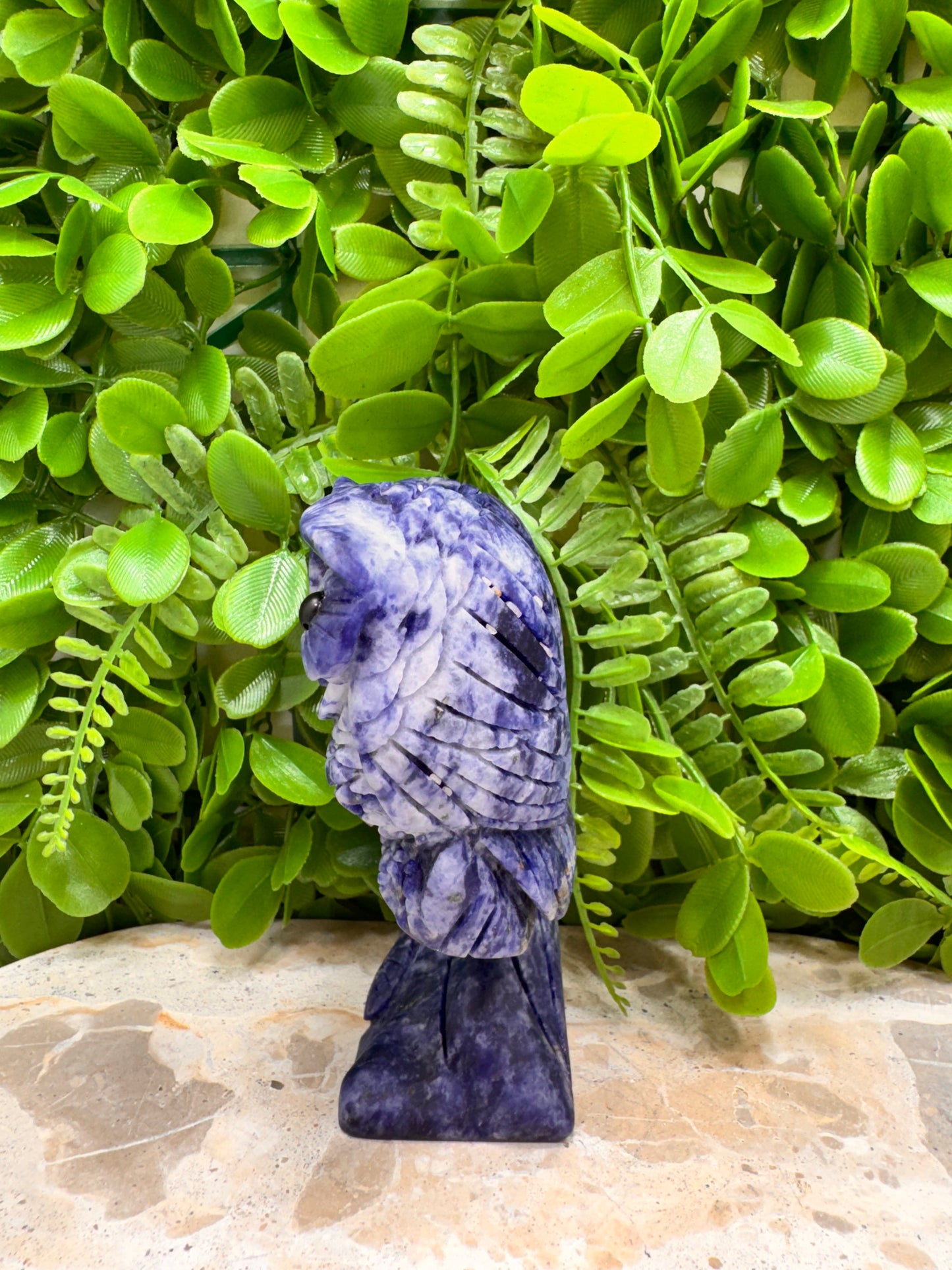 Twin Owl Sodalite 530g
