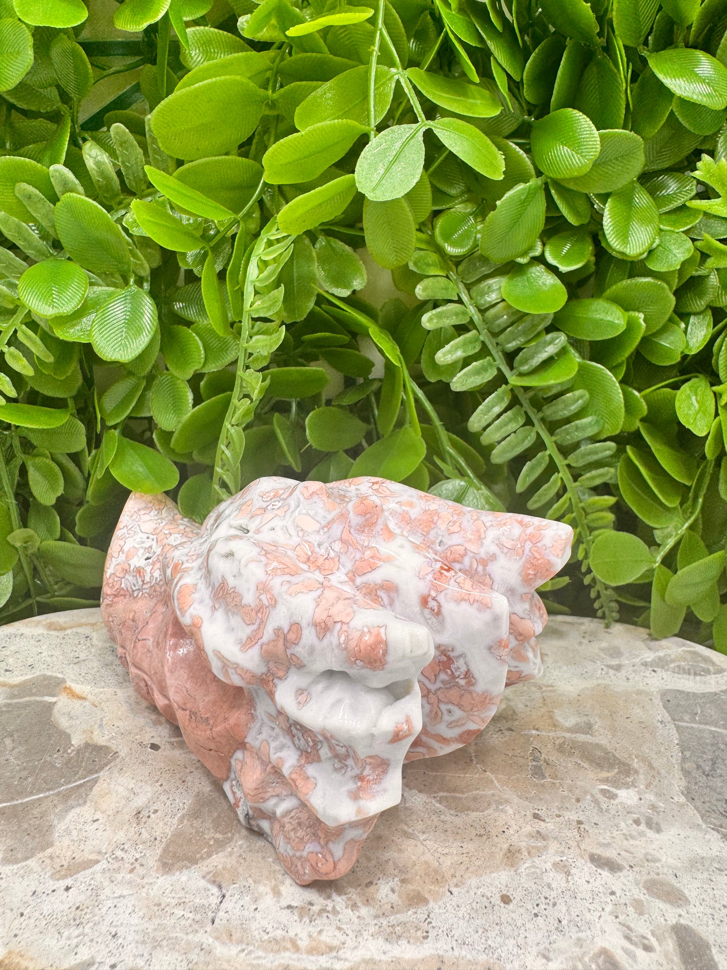 Pink Agate Dragon Skull 635g