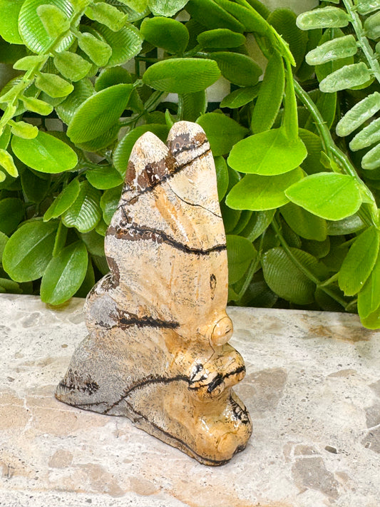Picture Jasper Fairy 102g