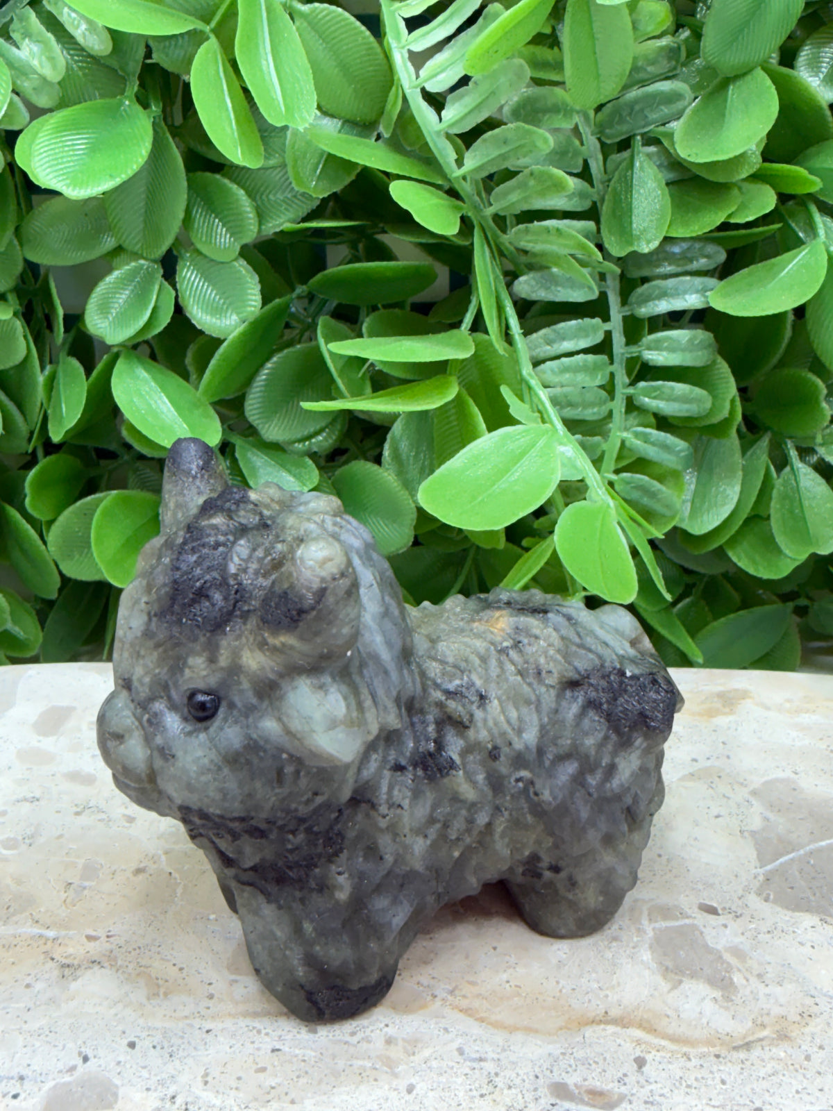 Labradorite Highland Cow 274g | Protection • Intuition • Transformation