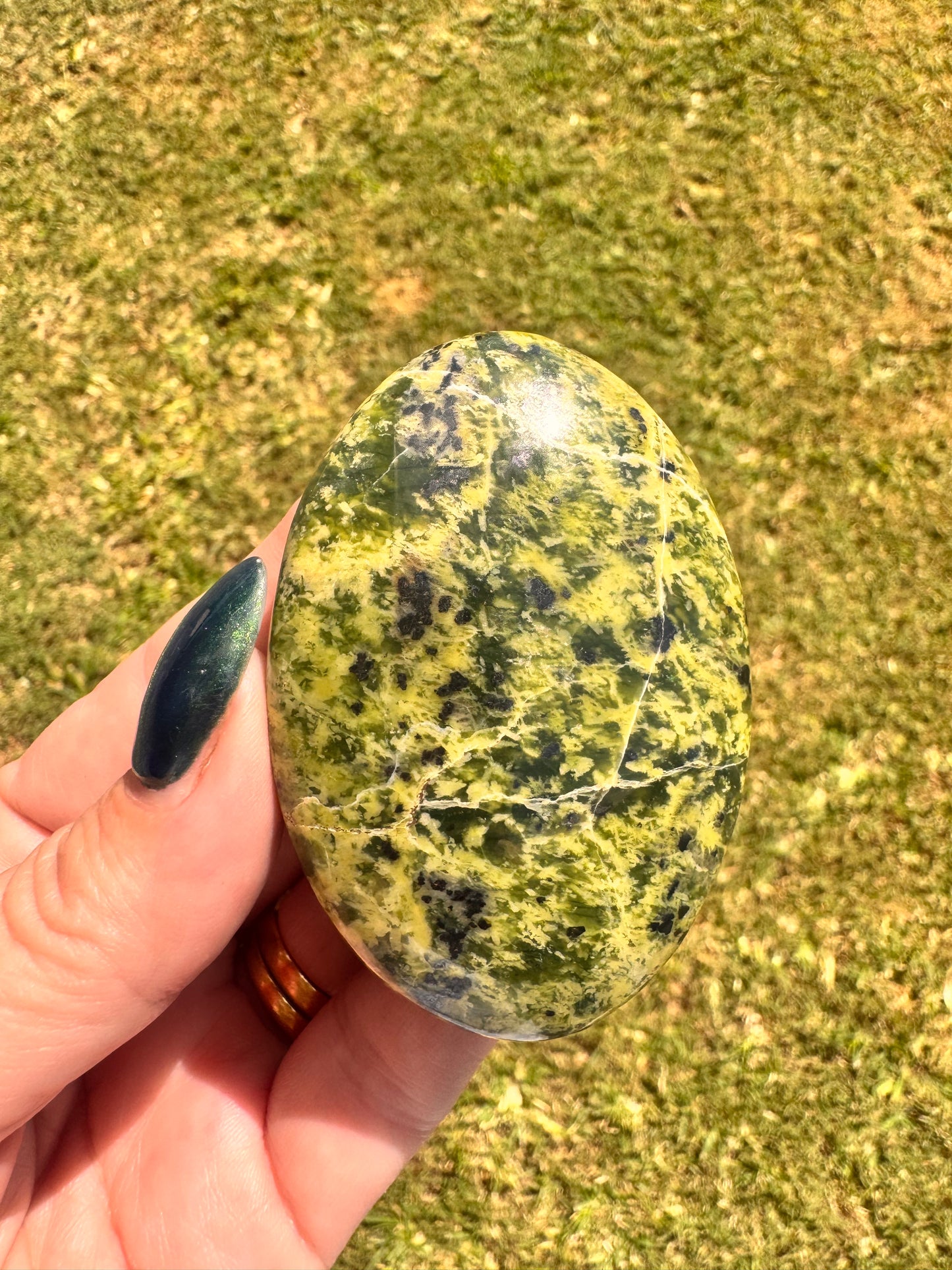 Mixed Serpentine Palm Stone 170g