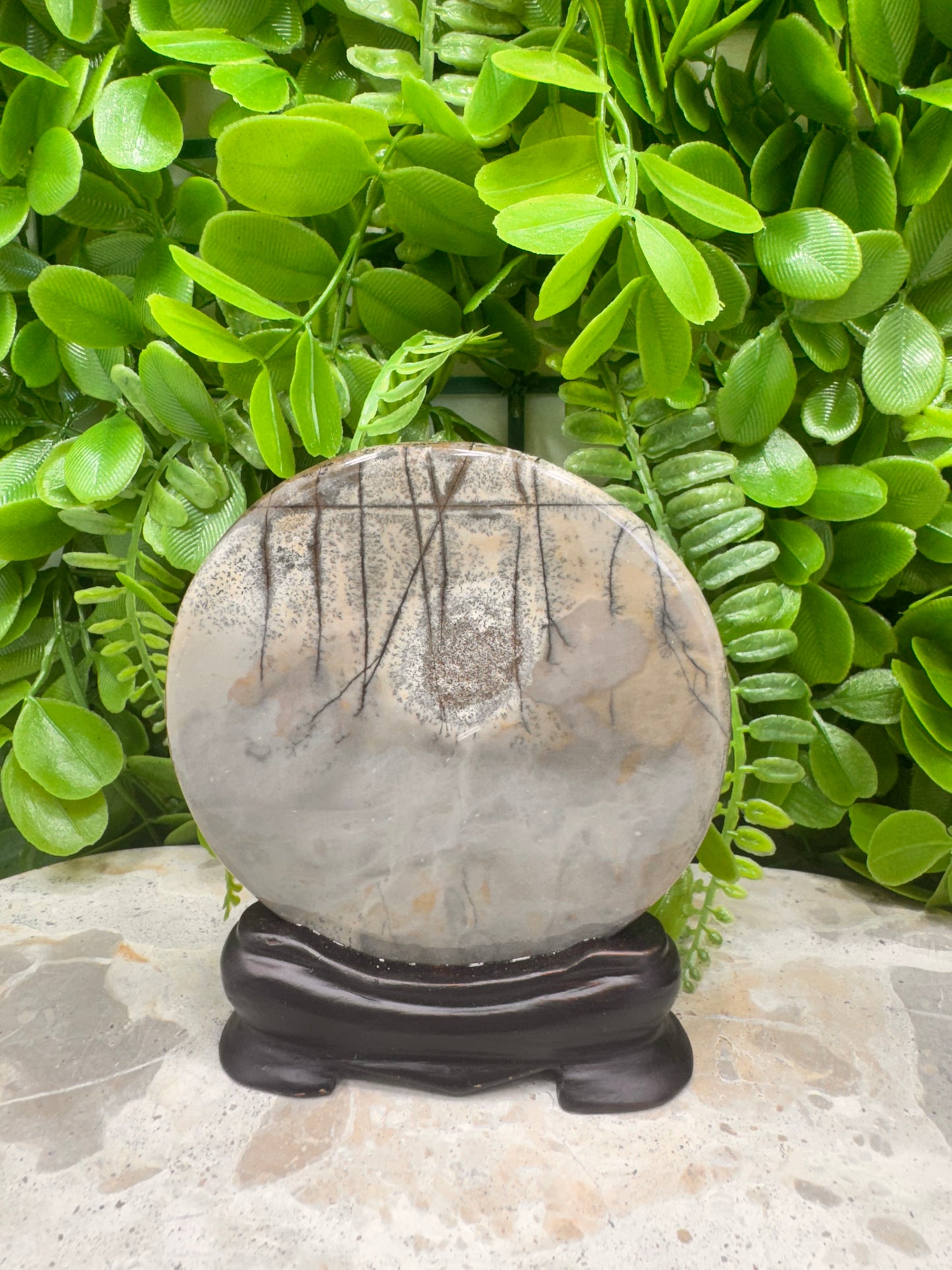 Picture Jasper In Frame 135g