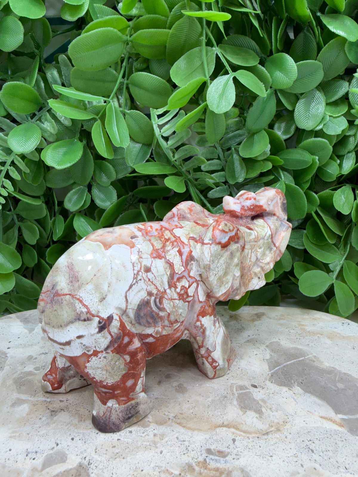 Money Agate Elephant 464g | Abundance • Prosperity • Success