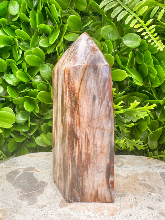 Petrified Wood Freeform 1074g