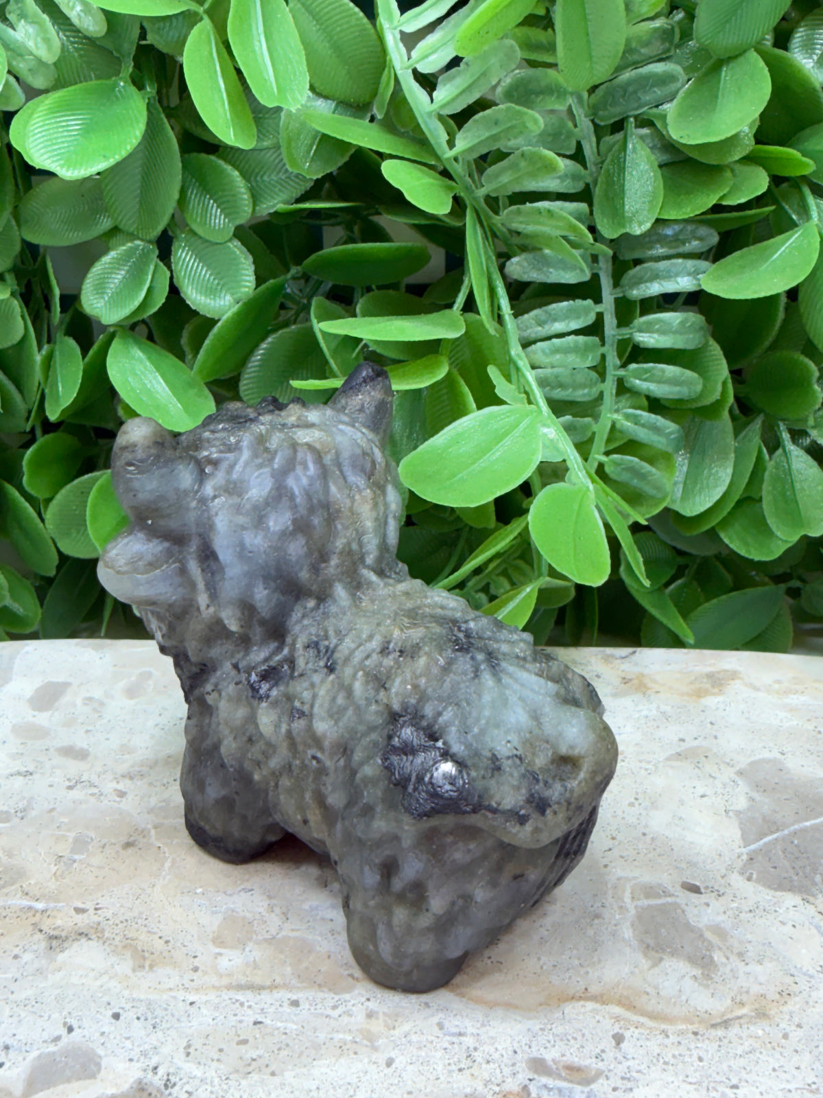 Labradorite Highland Cow 274g | Protection • Intuition • Transformation