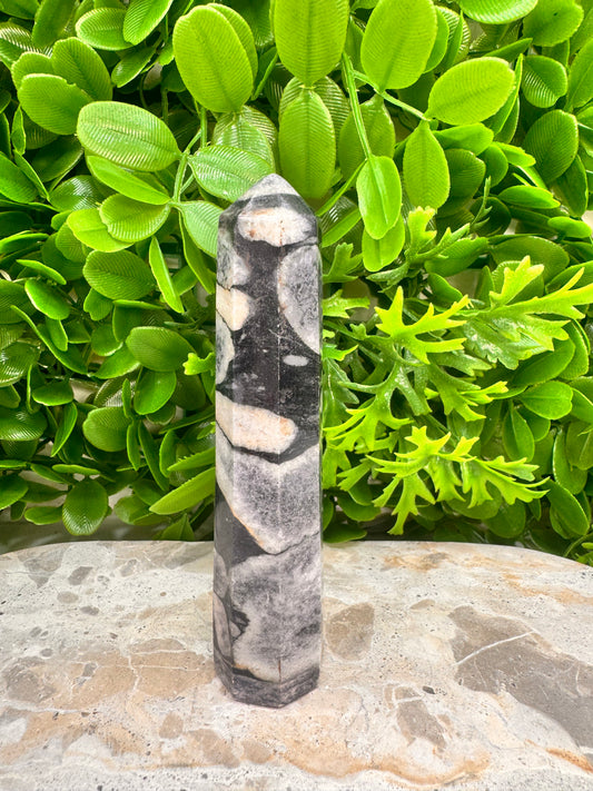 Shell Jasper Tower 186g