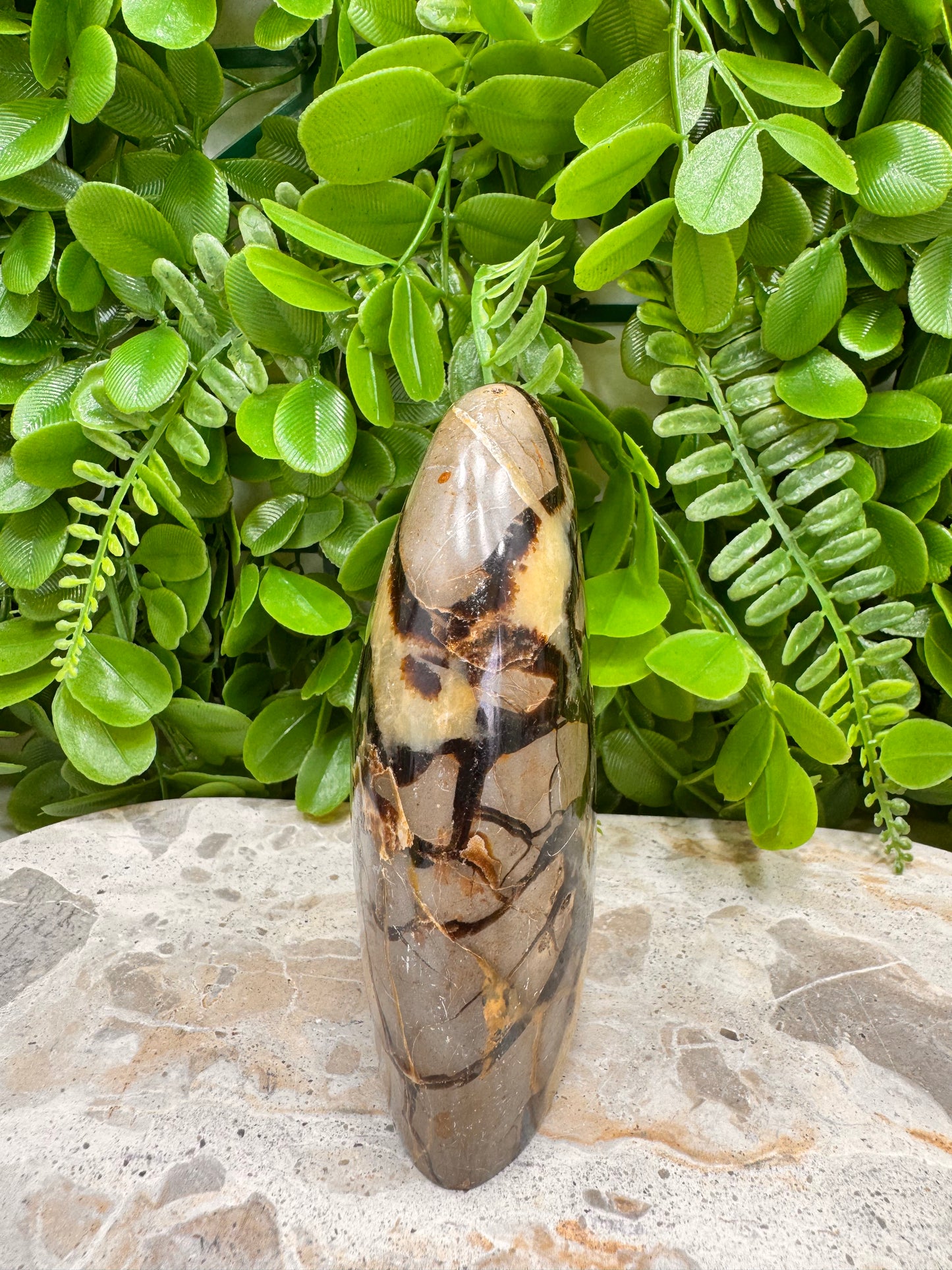 Septarian Freeform 456g