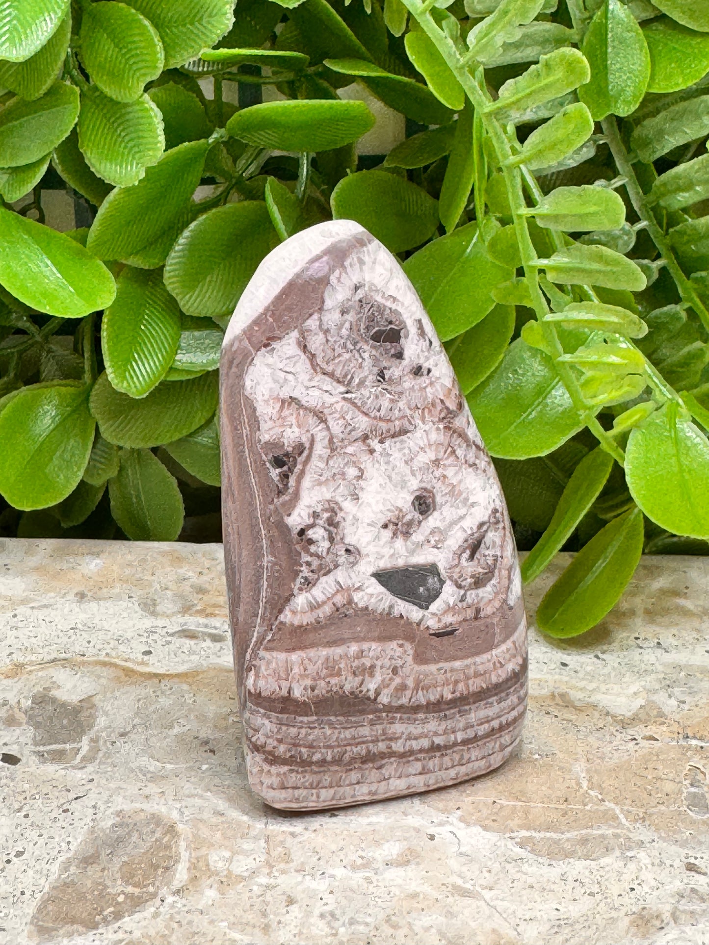 Chocolate Aragonite Freeform 102g