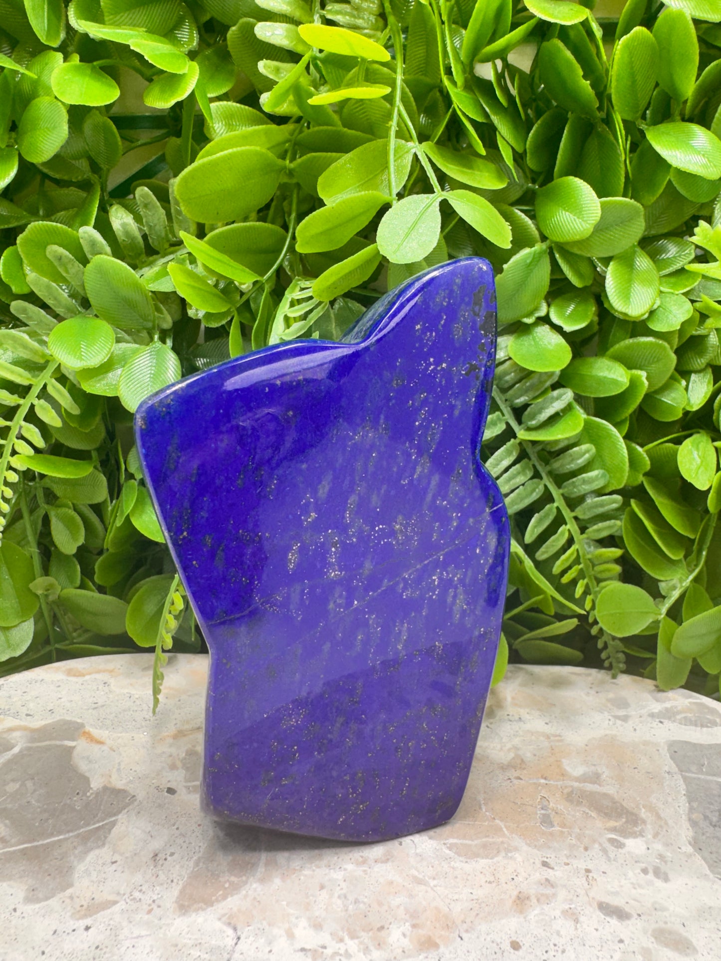 Lapis Lazuli Freeform 672g