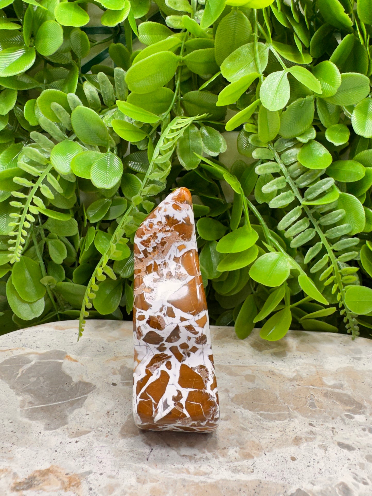 Jasper Agate Freeform 228g