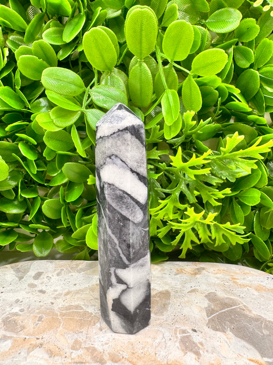 Shell Jasper Tower 214g