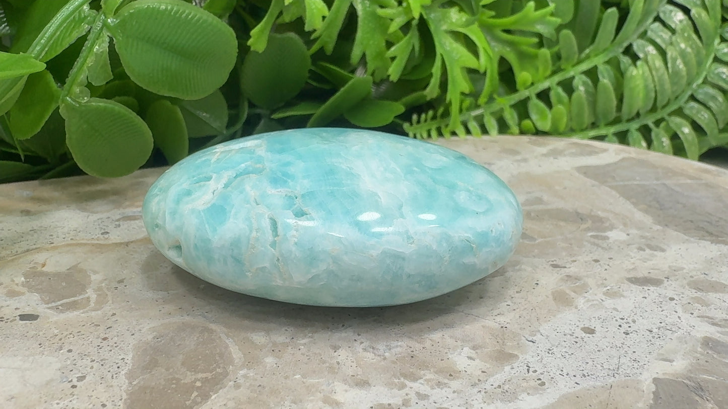 Aragonite Palm Stone 106g
