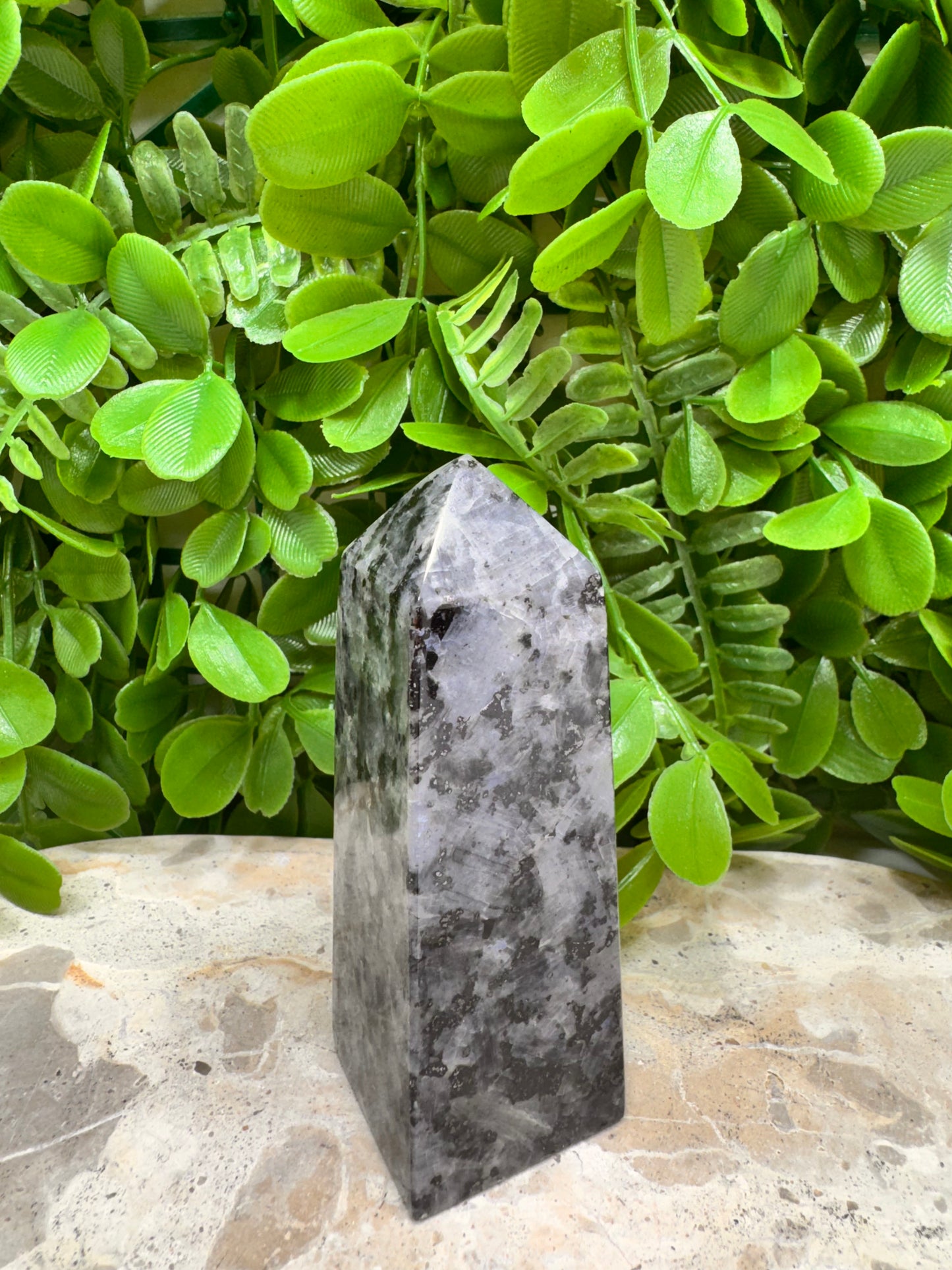 Larvikite Point 232g