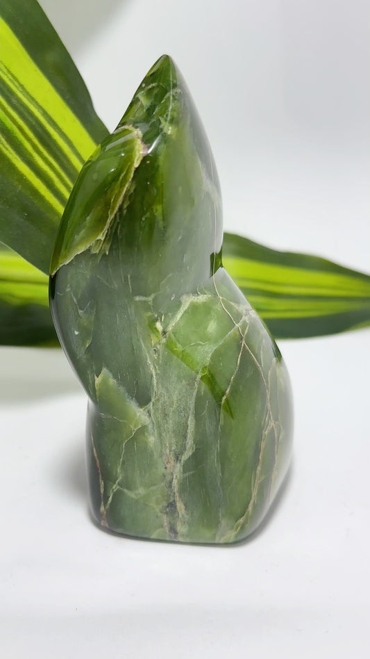 Nephrite Freeform 288g