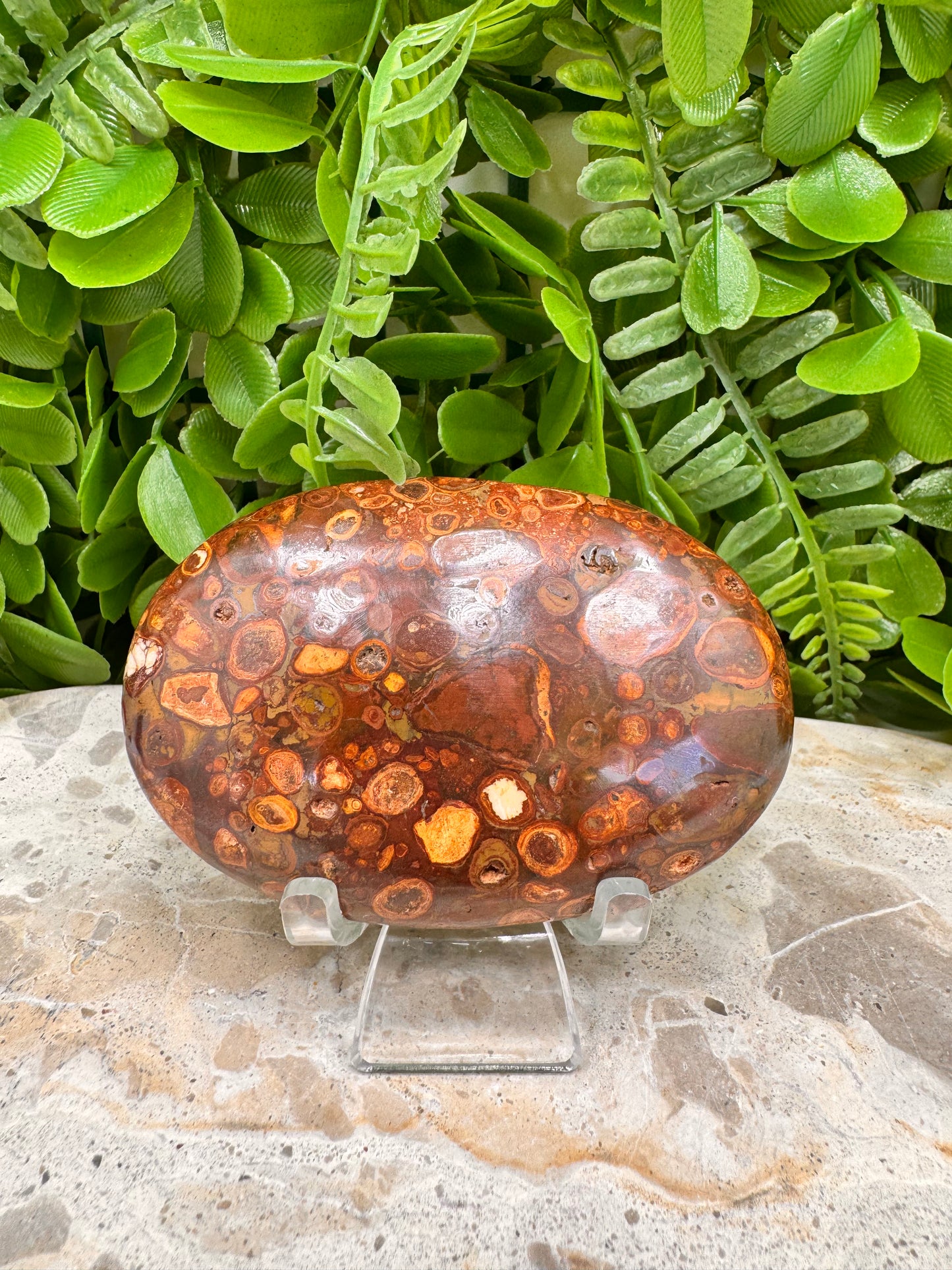 Coral Fossil Japser Palmstone 192g