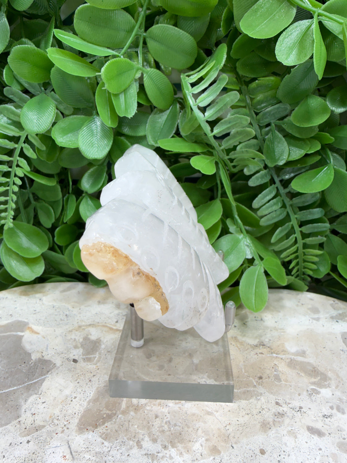 Clear Quartz Butterfly | Clarity • Amplification • Healing