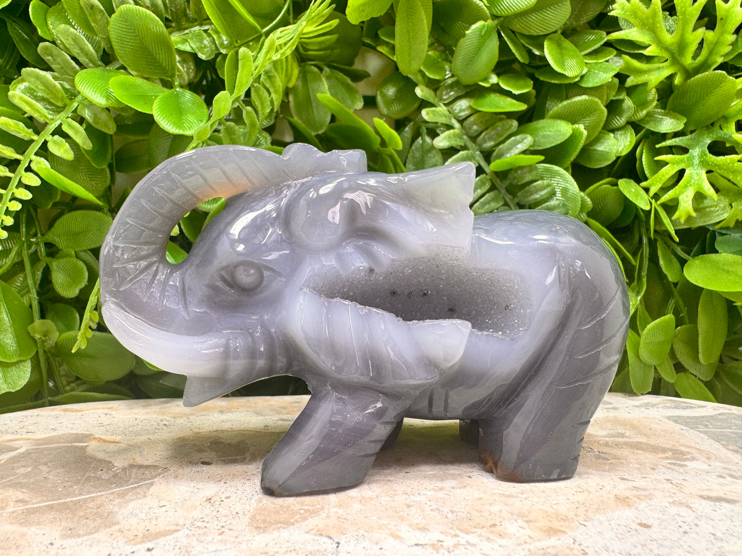 Drusy Agate Elephant 373g