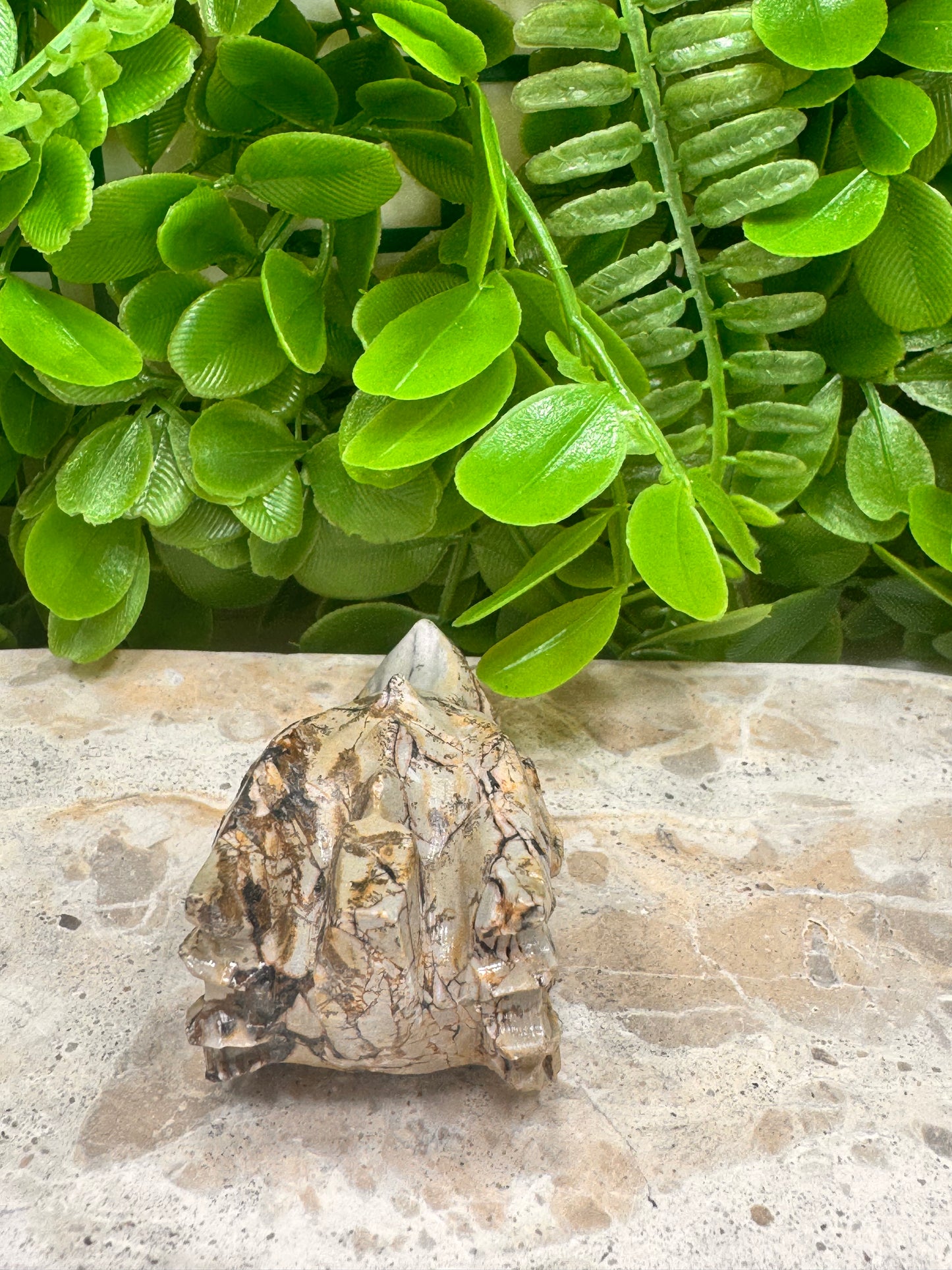 Picture Jasper Dragon Skull 118g