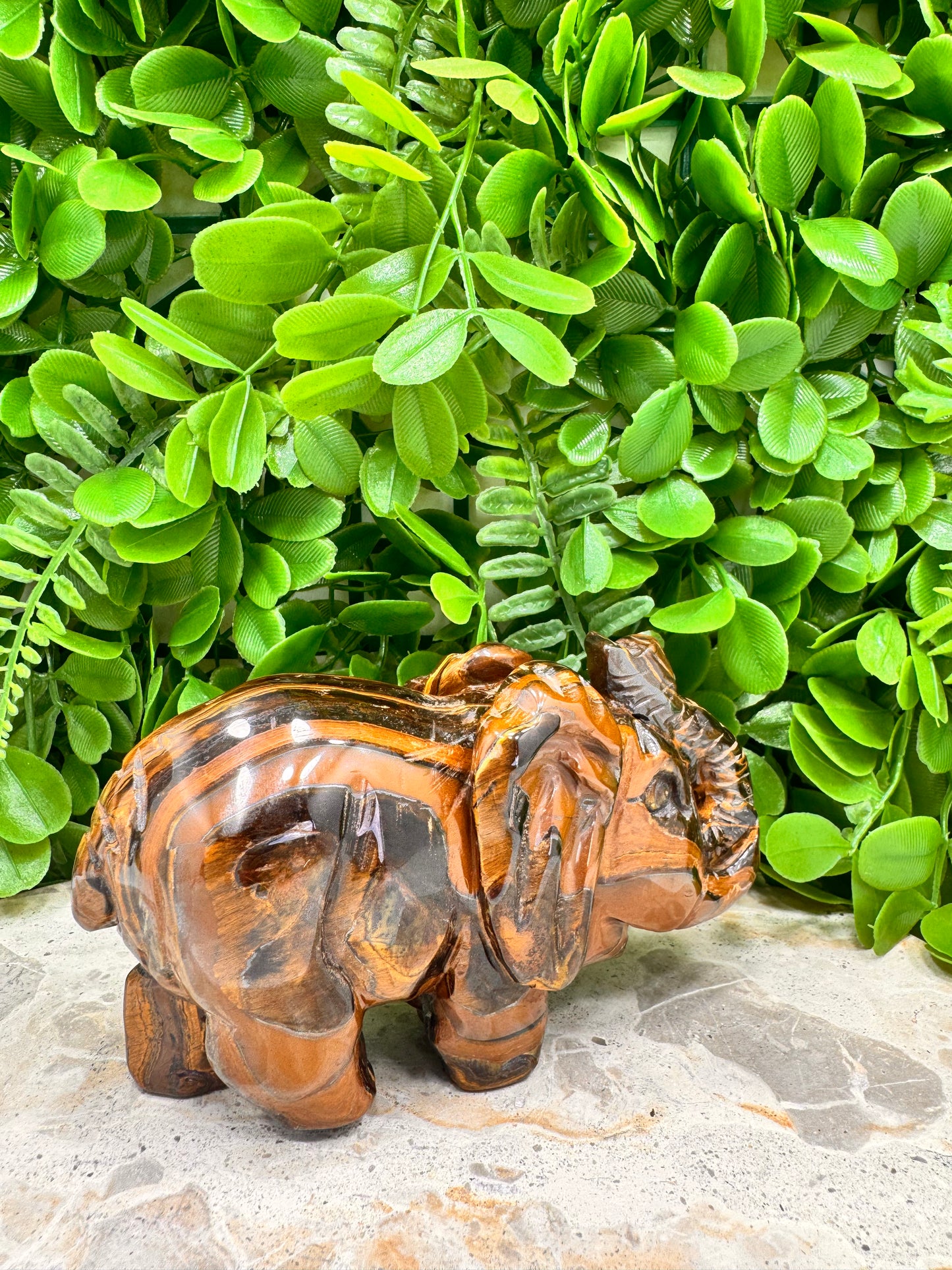 Tiger Eye/Tiger Ore Elephant 704g