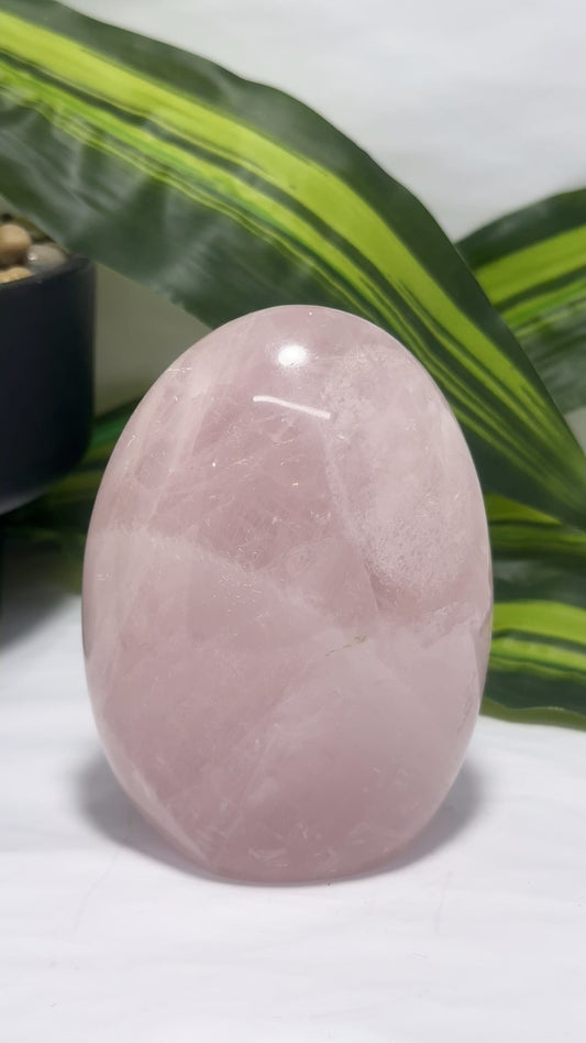Rose Quartz Freeform604g