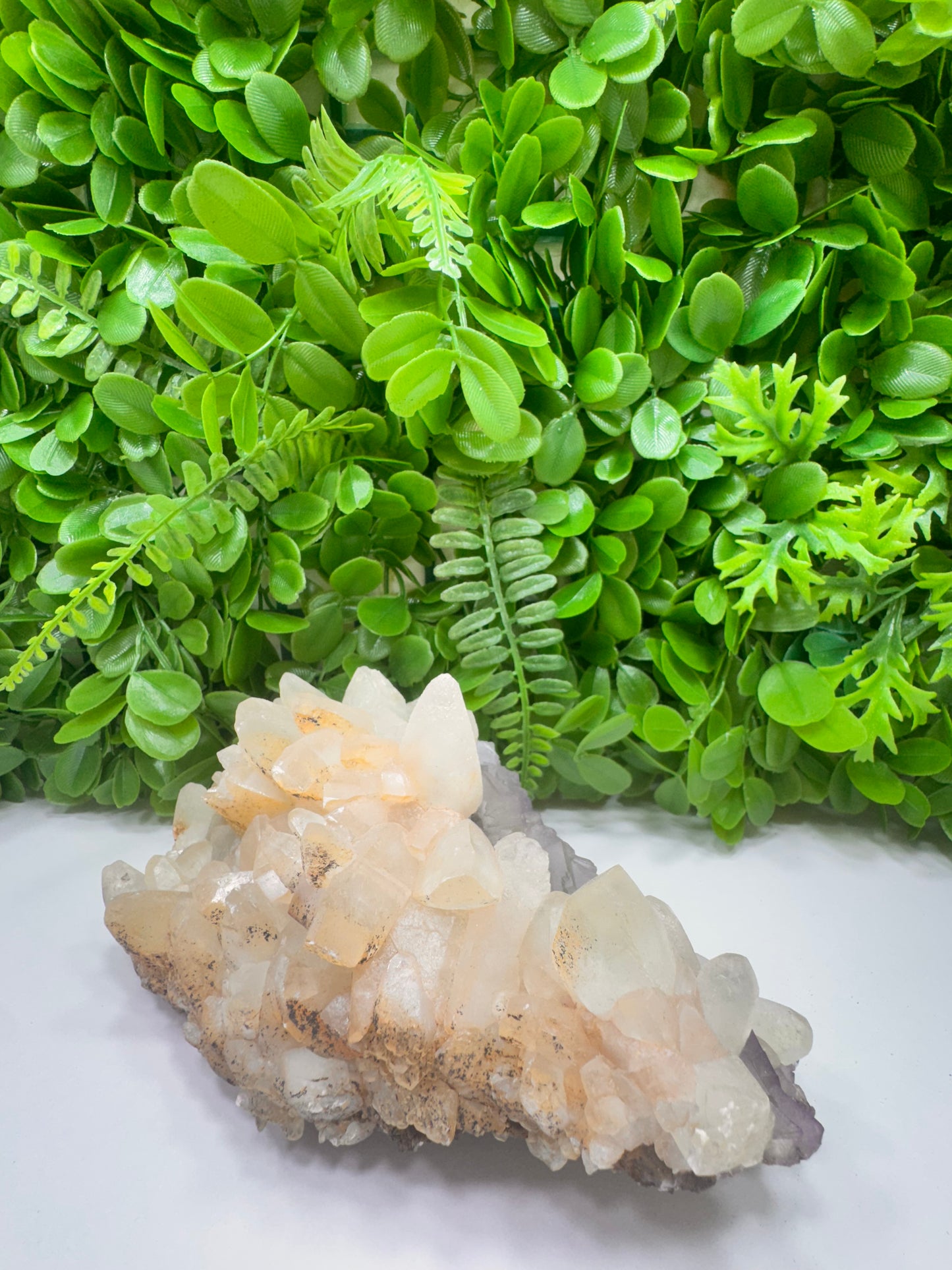 Apophyllite with Fluorite Raw 1630g