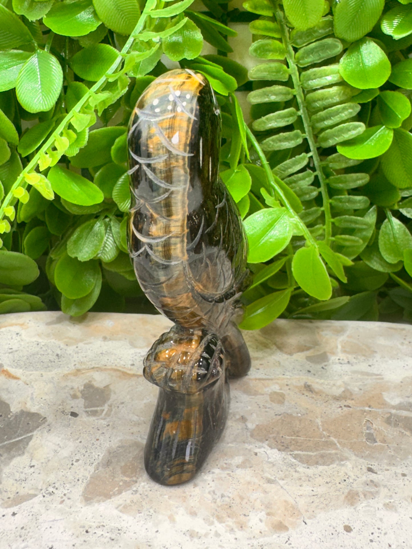 Yellow/Blue Tigers Eye Bird 188g