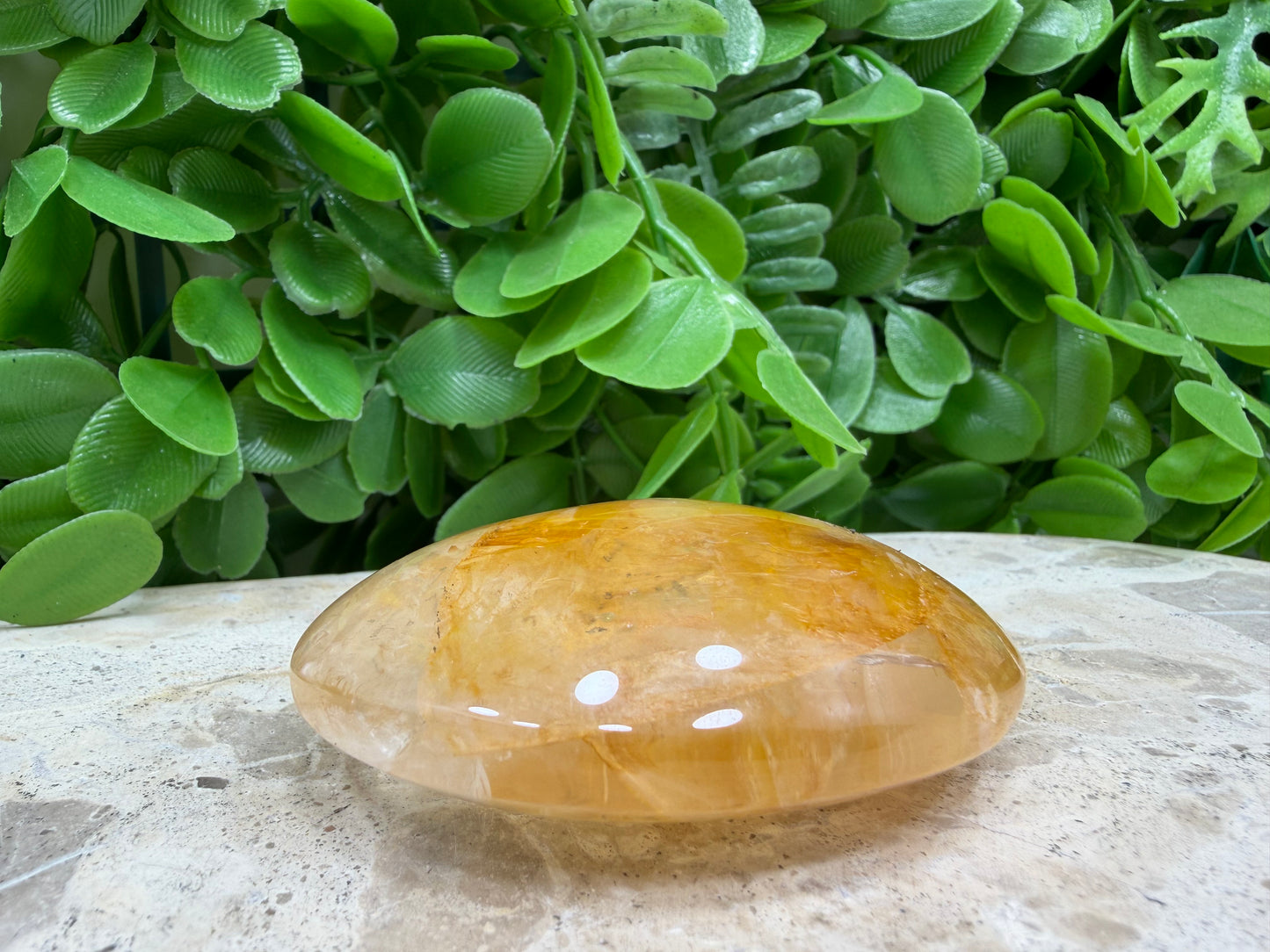Golden Healer Palm Stone 106g