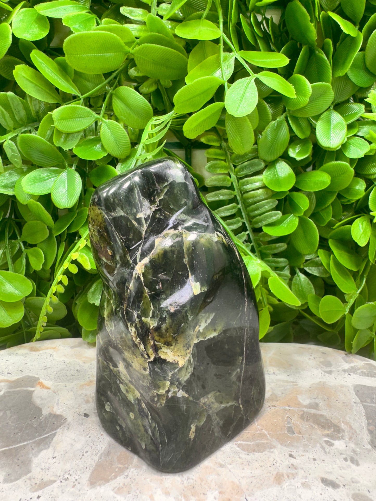 Nephrite Jade Freeform 644g