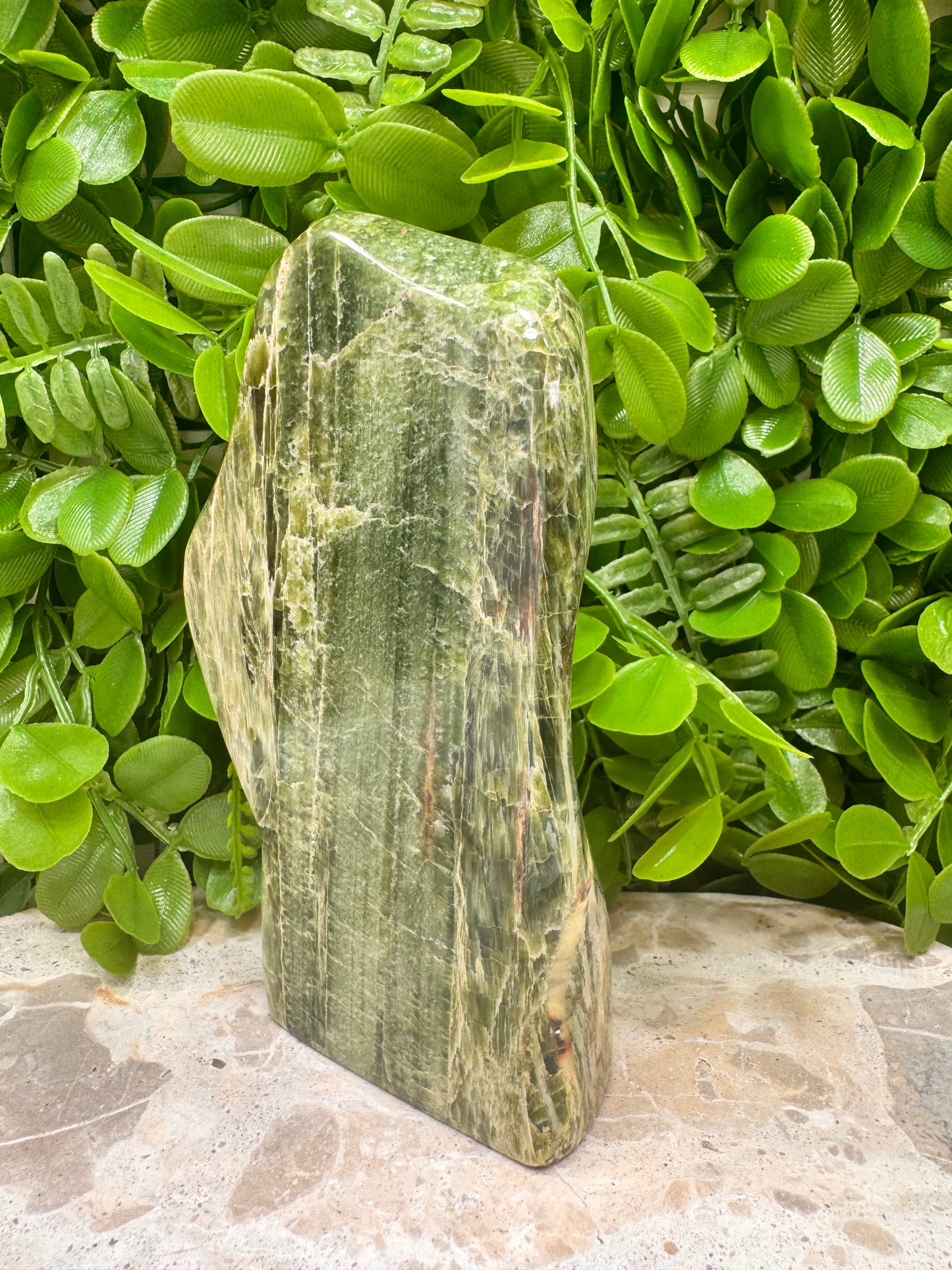 Tremolite Freeform 576g