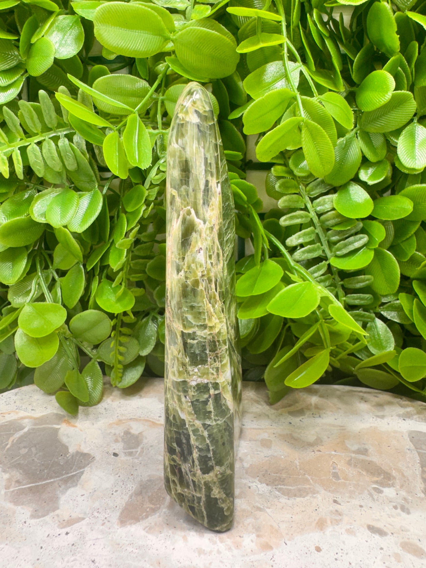 Tremolite Freeform 374g