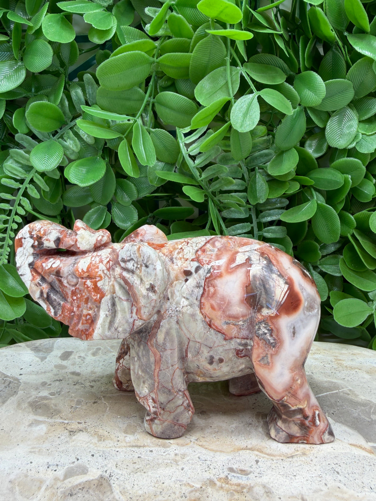 Money Agate Elephant 502g | Intuition • Communication • Clarity