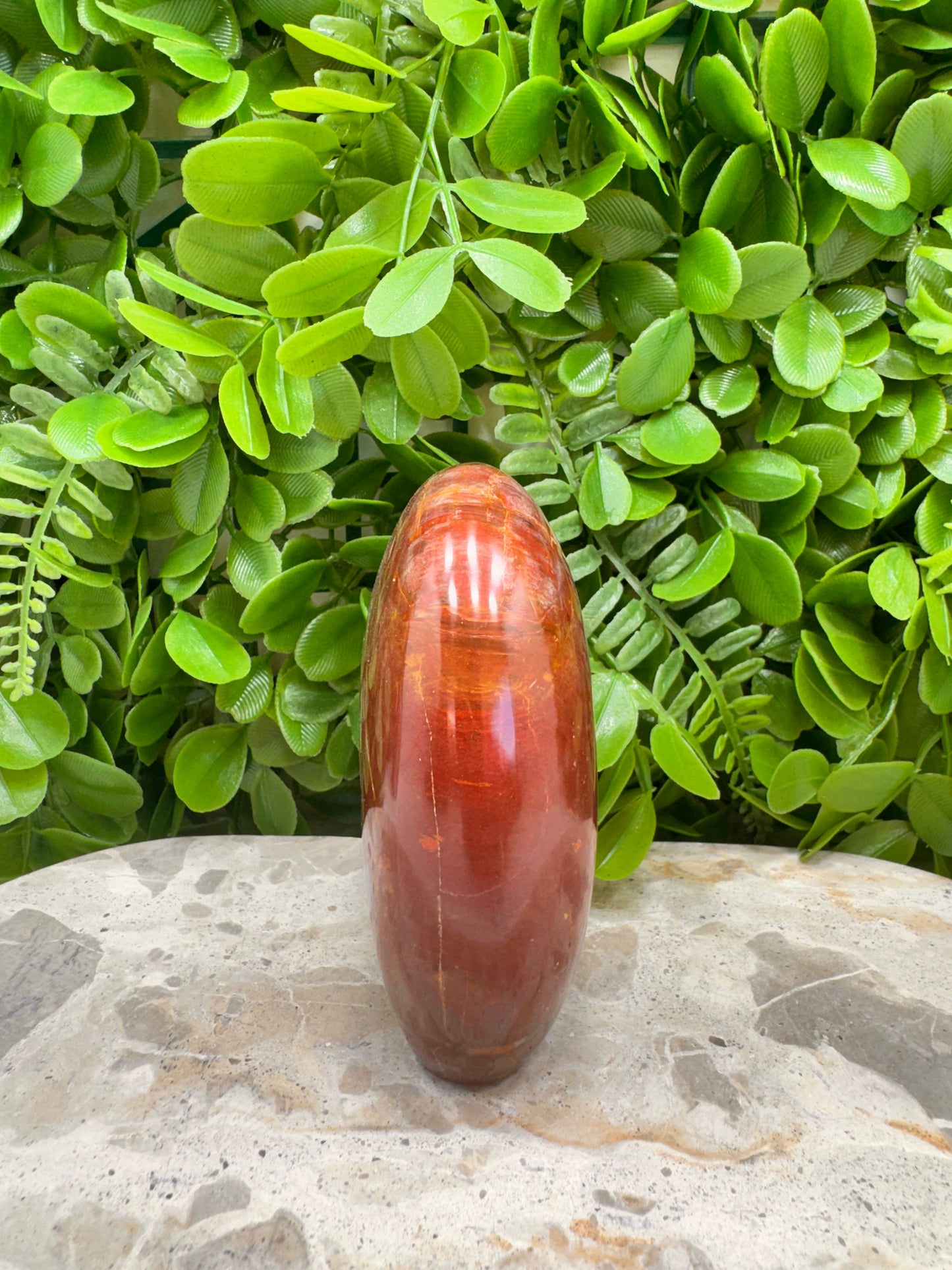 Petrified Wood Freeform 566g