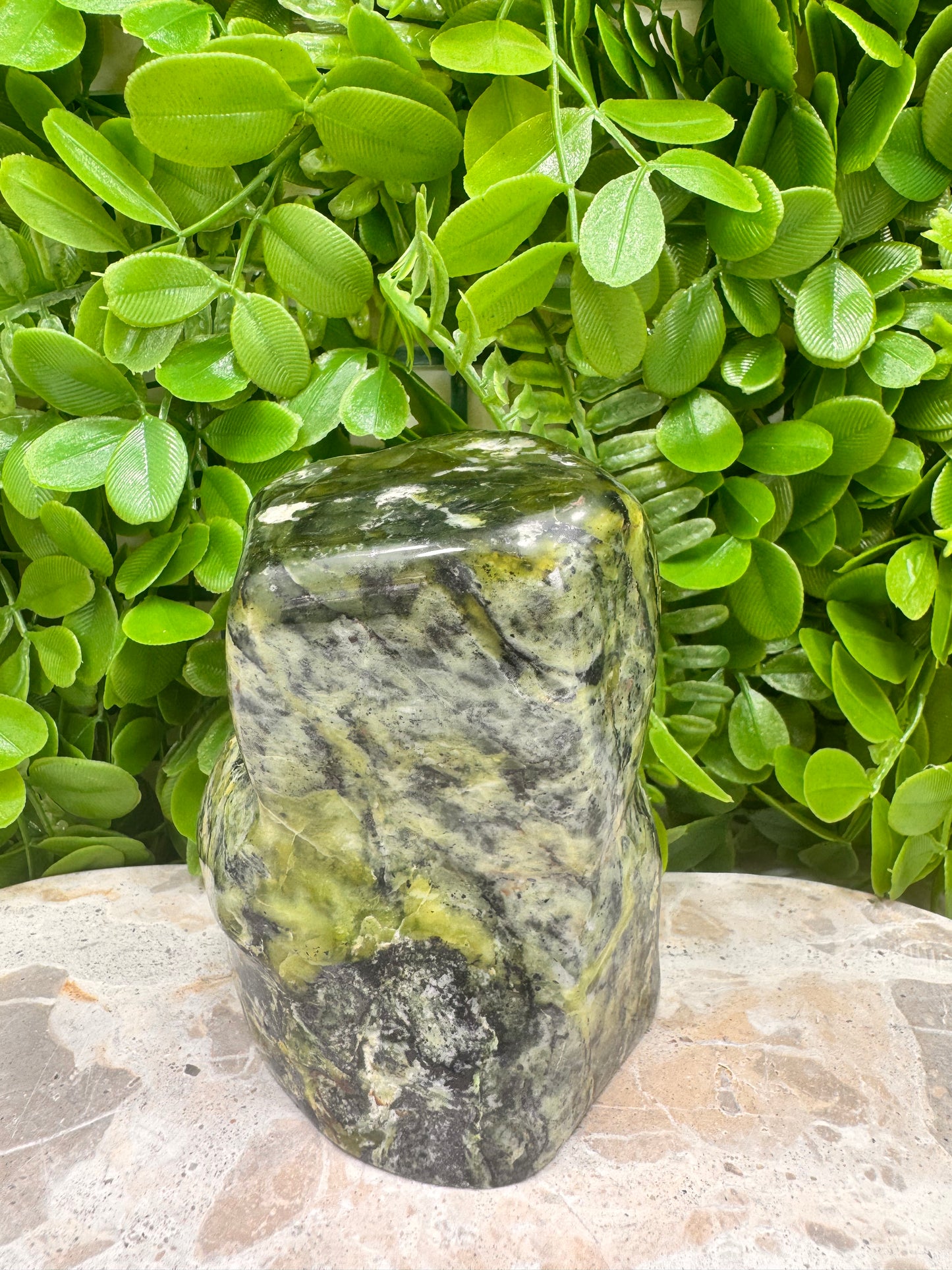 Nephrite Jade Freeform 710g