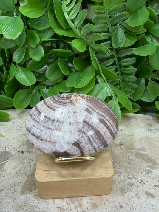 Chocolate Aragonite Palm Stone 64g