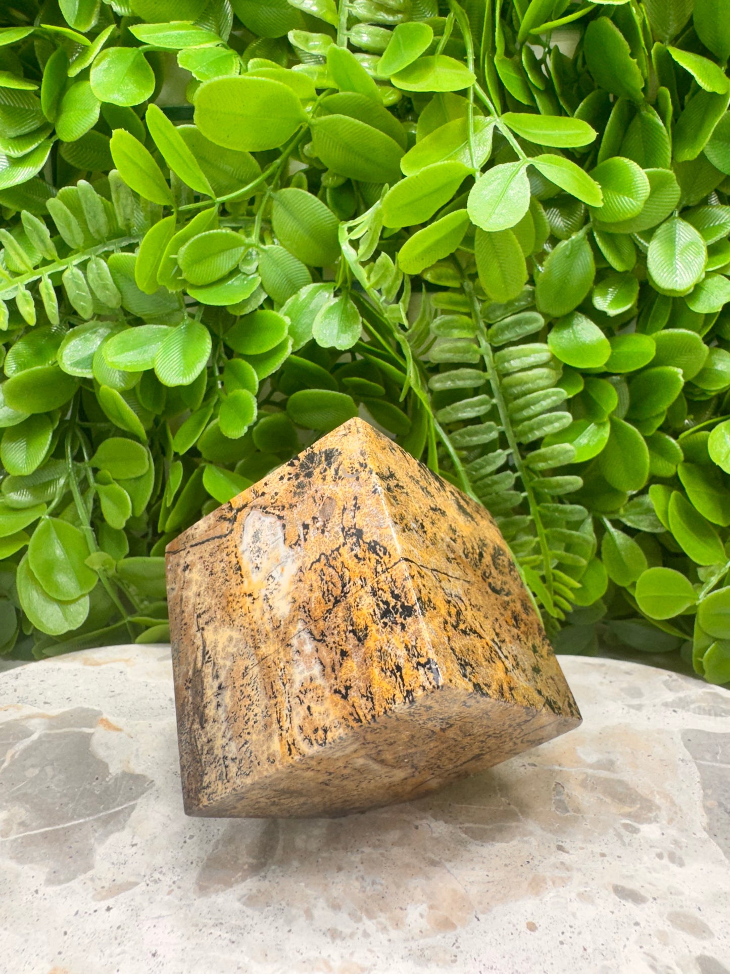 Picture Jasper Cube 546g