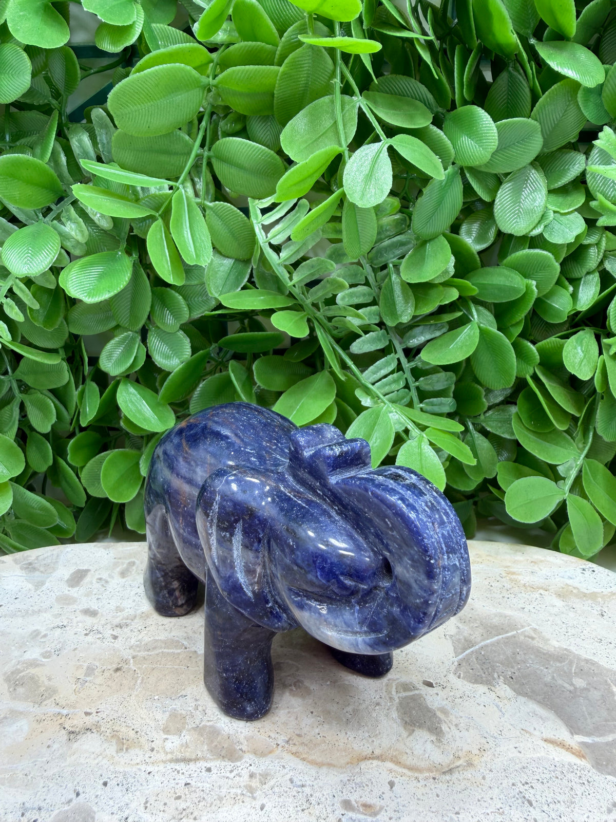 Sodalite Elephant 408g | Intuition • Communication • Clarity