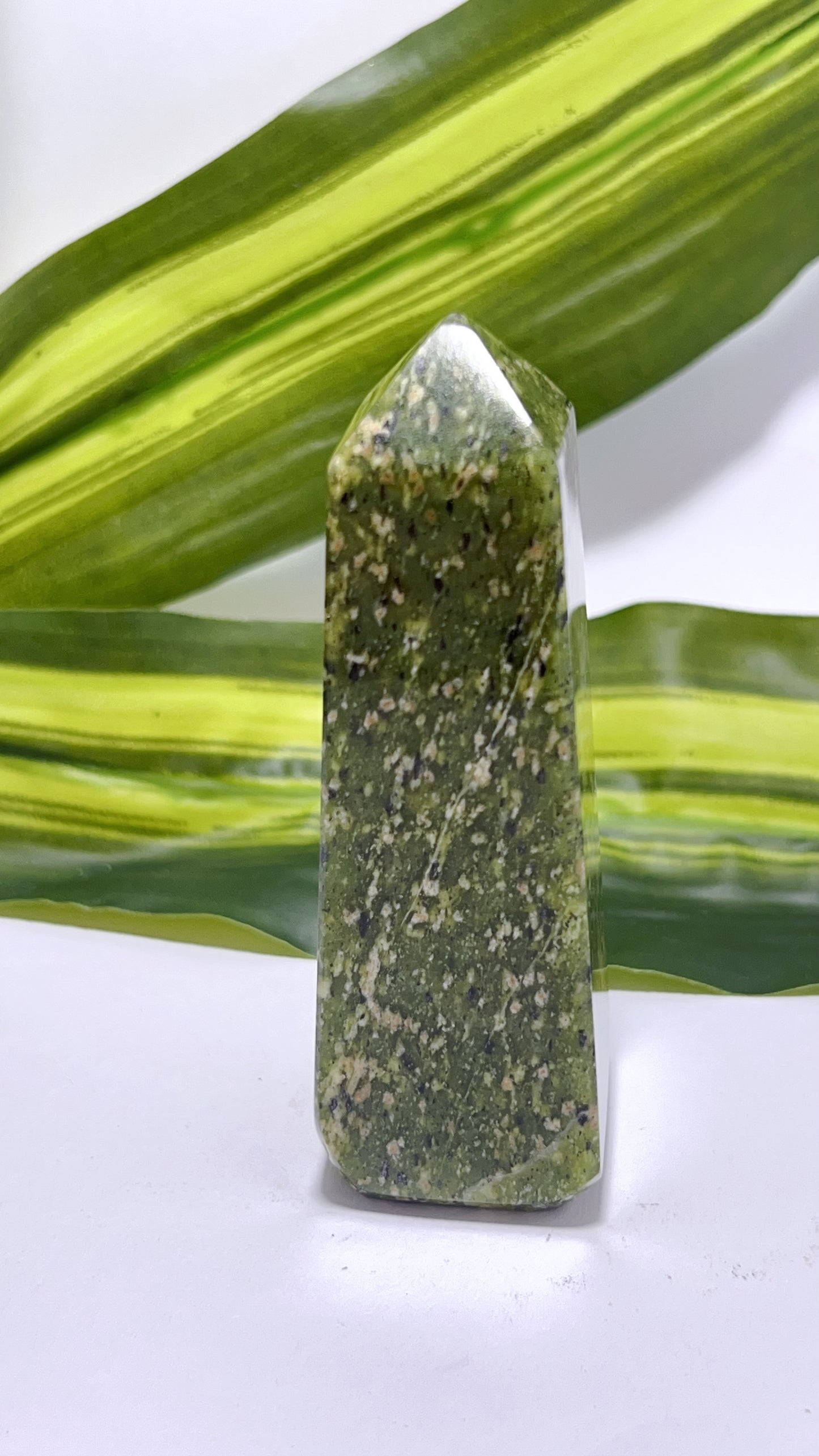 Dotted Serpentine Point 138g