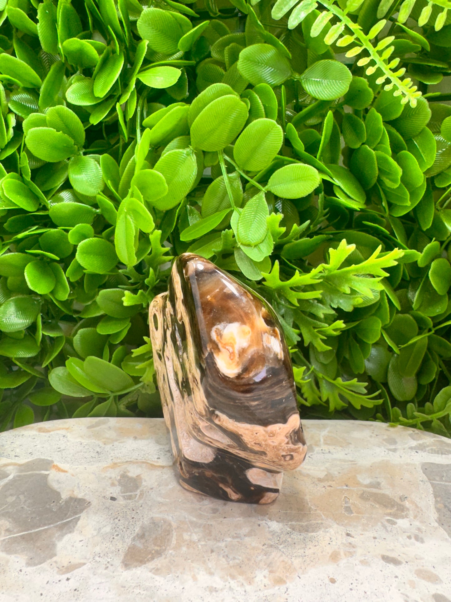 Chocolate Calcite Freeform 484g