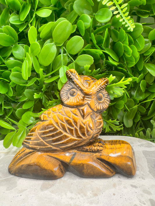Tiger Eye Owl on a Log 590g